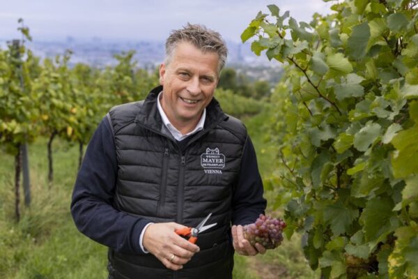 Wiener Weingüter Mayer am Pfarrplatz und Rotes Haus: Freude über einen großen Jahrgang 2025
