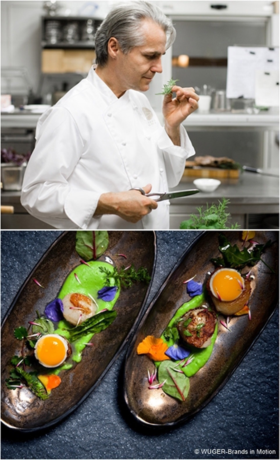 Brunnauer &ndash; gastronomischer Fixstern in der Ceconi-Villa