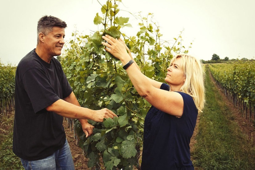 Weingut Toni Hartl – Wiederentdecker des Furmints