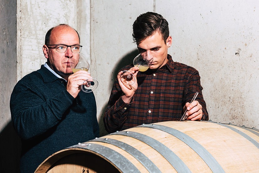 Weingut Liegenfeld &ndash;&nbsp;das Himmelreich am Leithaberg