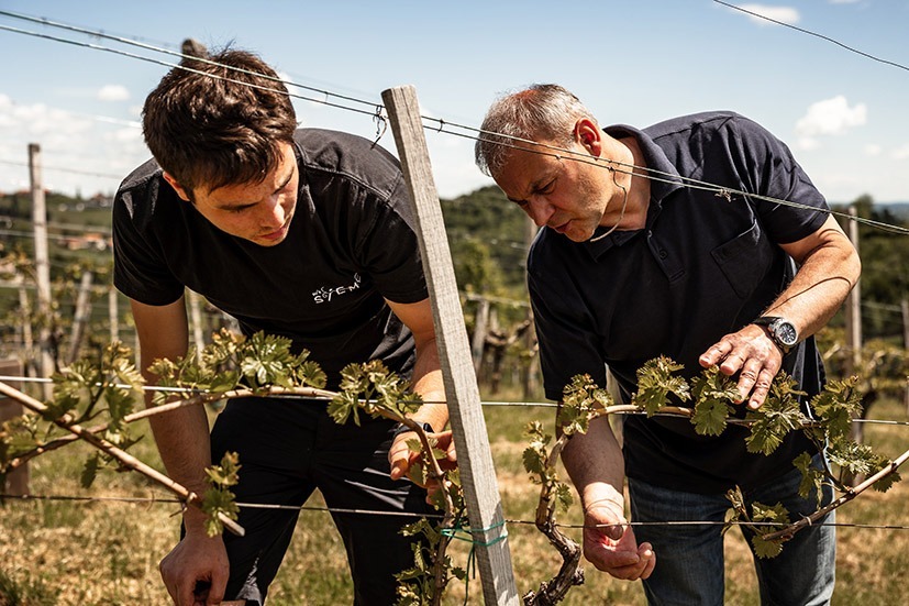 Weingut Tschermonegg – das Paradies an der Weinstraße