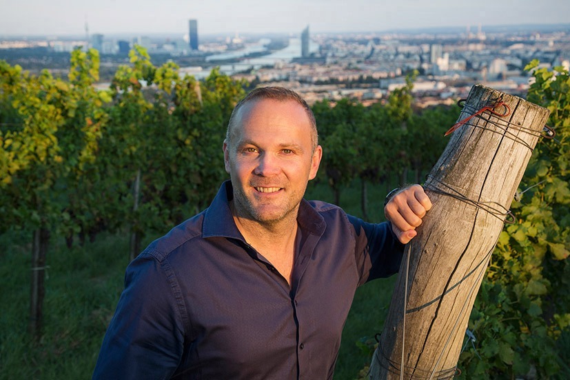 Weingut Christ &ndash; Wiener Gemischter Satz vom Feinsten