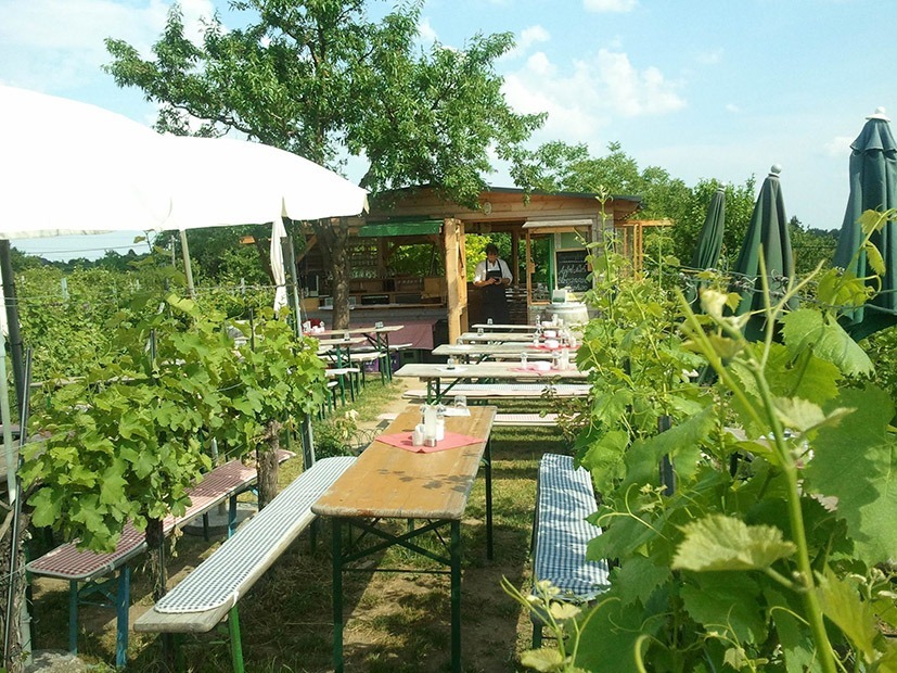 Weingut Walter Wien &ndash; vom Berg zum Weinberg