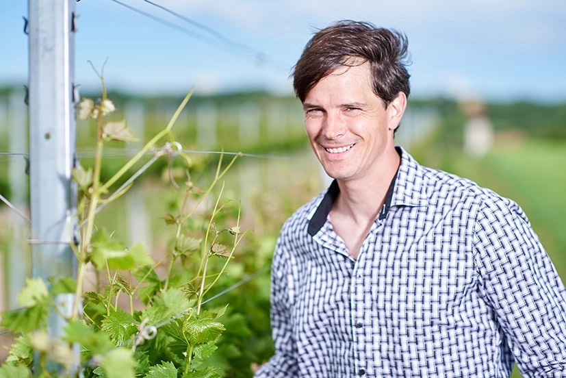 Weingut Karl Diwald &ndash; diese Wahl ist keine Qual