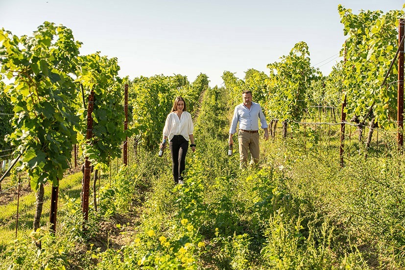 Weingut Gerhard J. Lobner &ndash; Wein vom Methusalem-Weingarten