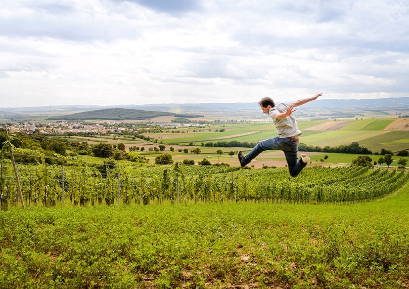 Weingut Wagentristl &ndash;&nbsp;Blaufr&auml;nkisch auf dem Punkt