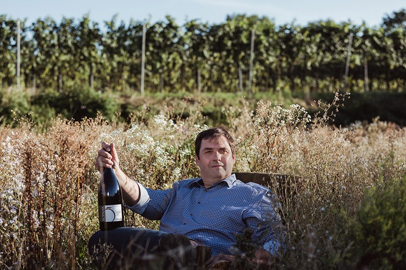 Weingut Hofmann &ndash; zwischen Weingartenh&uuml;tte und SALON