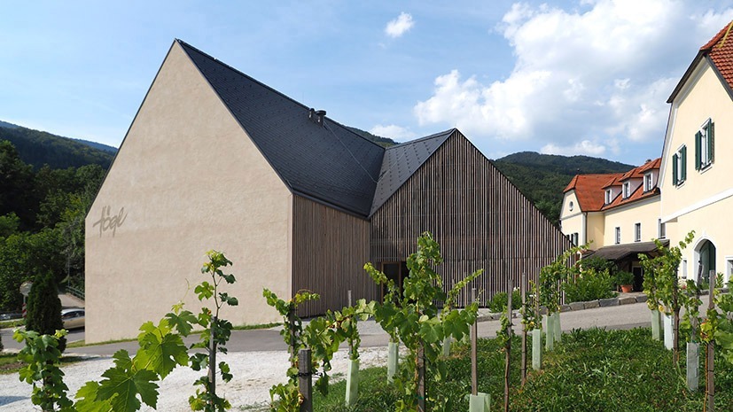 Weingut H&ouml;gl &ndash; jedem Wein dieselbe Sorgfalt